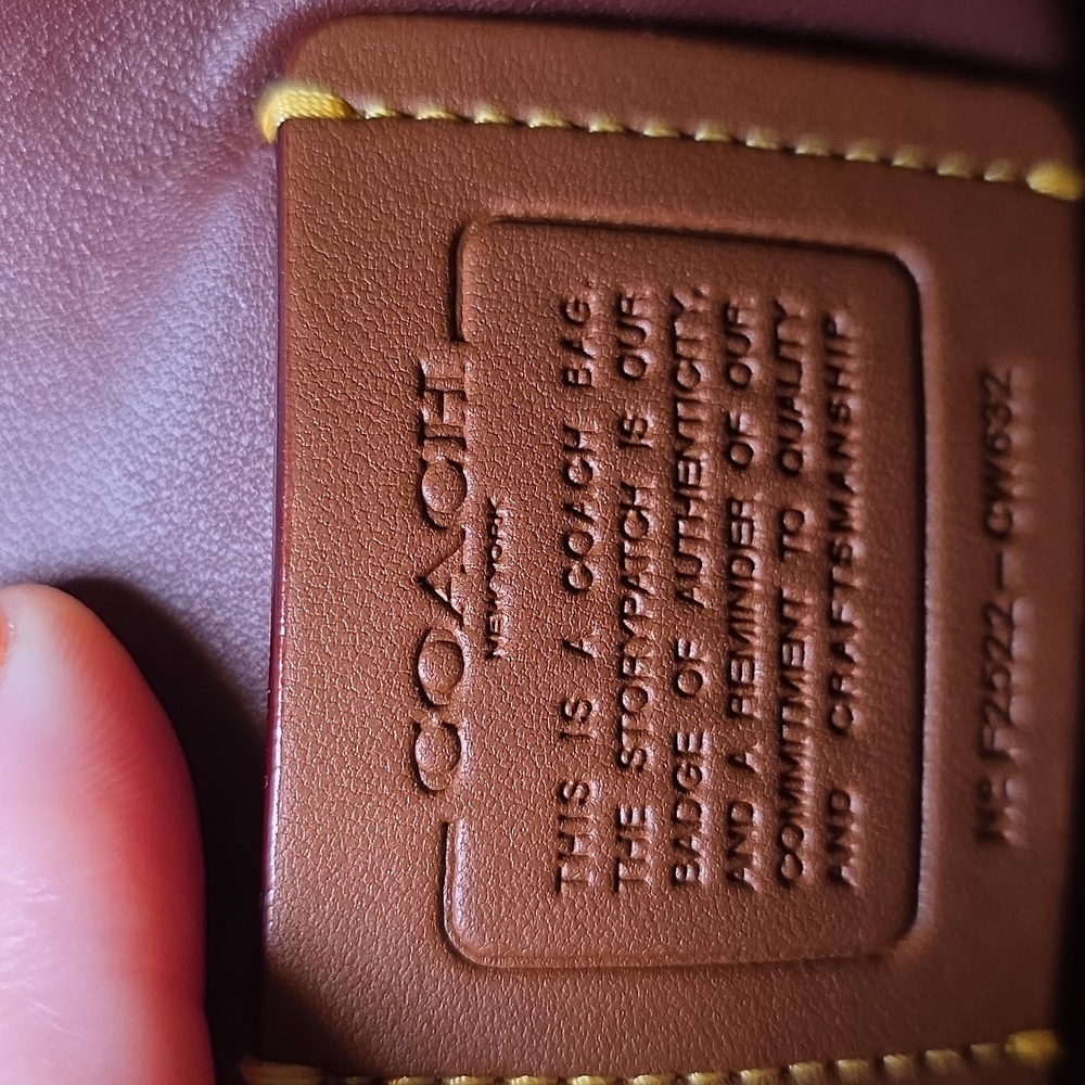 Coach Tabby 20 - Dark Neutral Spazzolato Leather - Picture 6 of 9